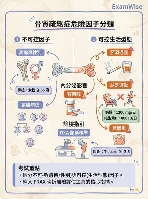 護理師 - 慢性病防治 - AI 圖文解析預覽
