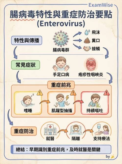 護理師 - 傳染病防治與護理 - AI 圖文解析預覽