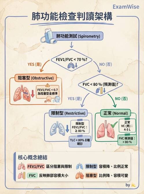 護理師 - 呼吸系統 - AI 圖文解析預覽