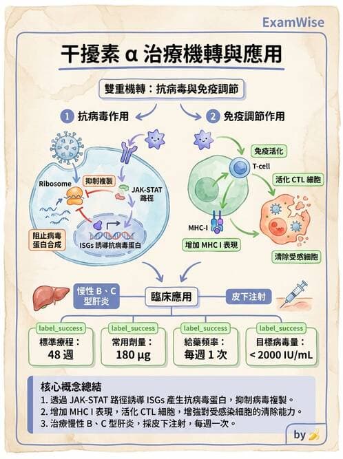 護理師 - 化學治療與免疫調節藥物 - AI 圖文解析預覽