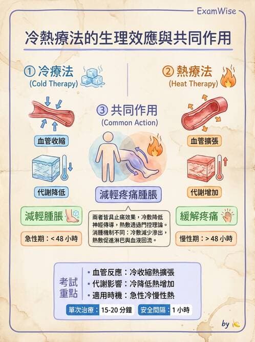 護理師 - 冷熱療法 - AI 圖文解析預覽