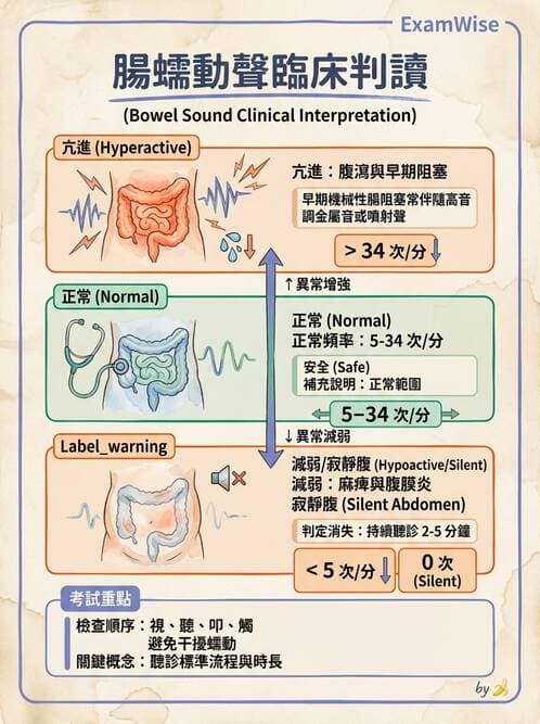 護理師 - 腸道排泄與灌腸護理 - AI 圖文解析預覽