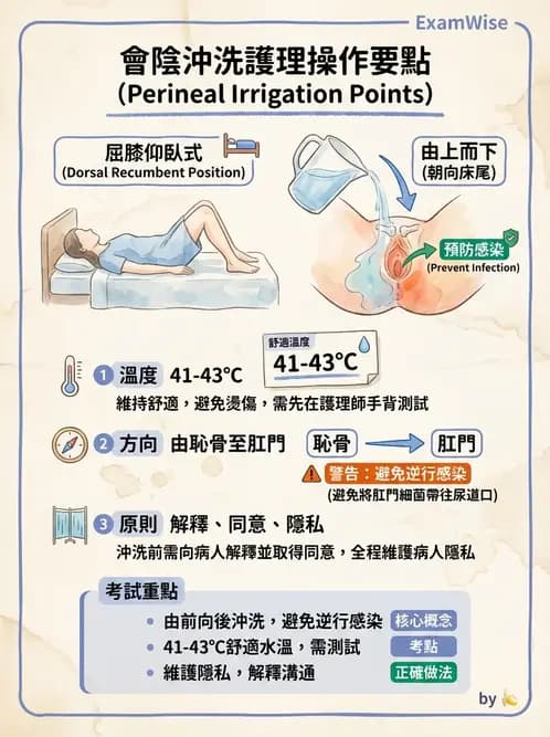 護理師 - 個人衛生與舒適照護 - AI 圖文解析預覽