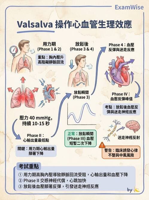 護理師 - 體位擺位與安全照護 - AI 圖文解析預覽