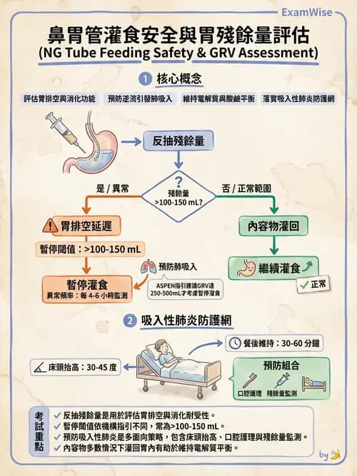 護理師 - 營養與管灌飲食 - AI 圖文解析預覽