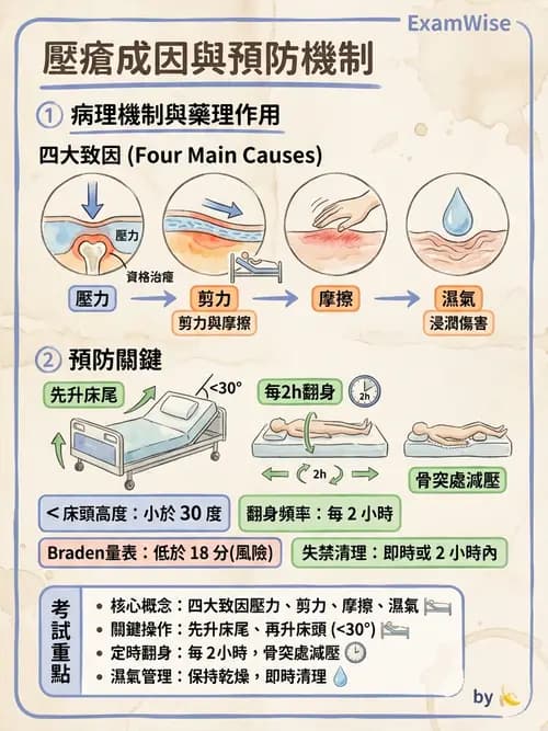 護理師 - 運動功能與傷口護理 - AI 圖文解析預覽