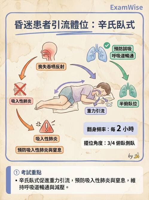 護理師 - 體位擺位與安全照護 - AI 圖文解析預覽