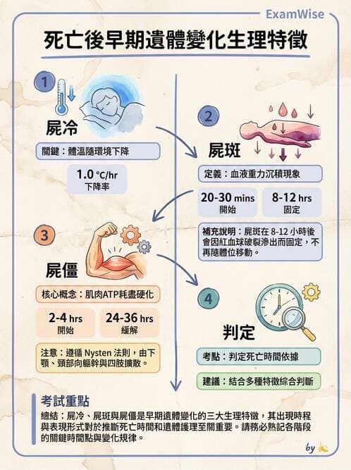 護理師 - 臨終與哀傷護理 - AI 圖文解析預覽