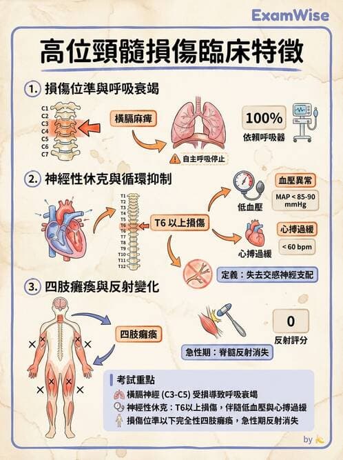 護理師 - 脊髓損傷與神經肌肉疾病 - AI 圖文解析預覽