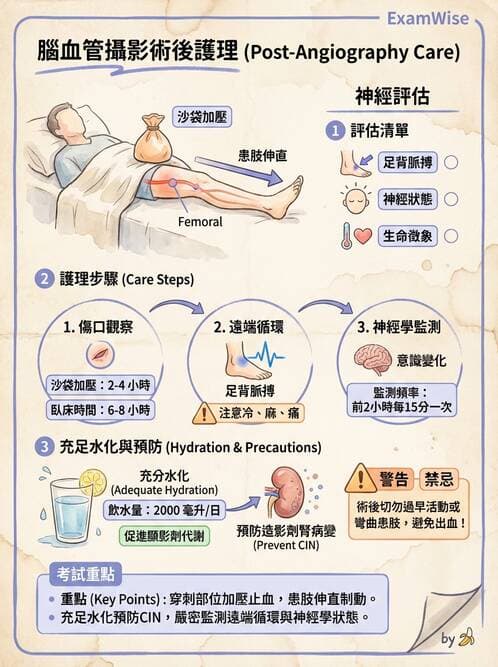 護理師 - 腦中風與腦血管疾病 - AI 圖文解析預覽