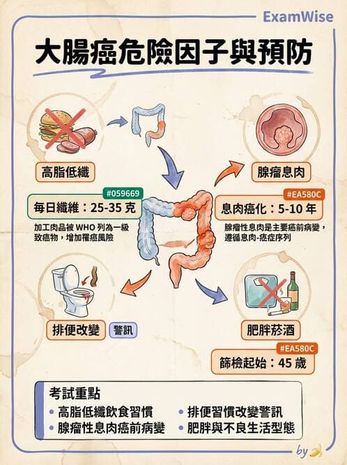 護理師 - 消化系統癌症護理 - AI 圖文解析預覽