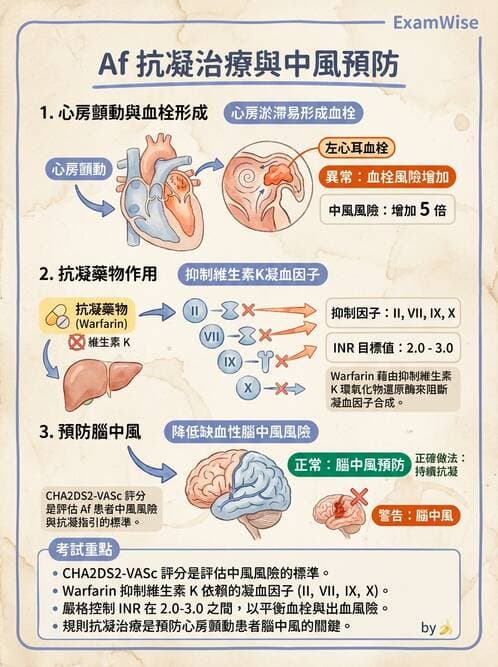 護理師 - 心臟衰竭與心律不整 - AI 圖文解析預覽