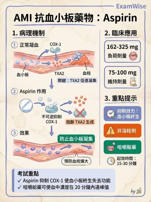 護理師 - 冠狀動脈疾病與心肌梗塞 - AI 圖文解析預覽