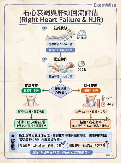護理師 - 心臟衰竭與心律不整 - AI 圖文解析預覽