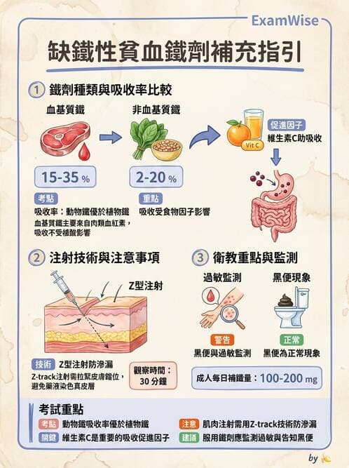 護理師 - 貧血與凝血疾病 - AI 圖文解析預覽