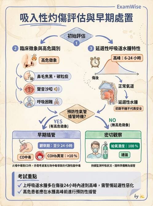 護理師 - 燒傷護理 - AI 圖文解析預覽