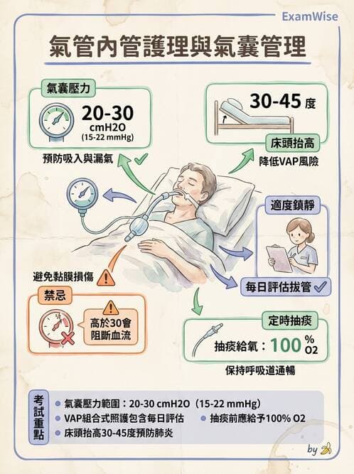 護理師 - 呼吸衰竭與胸腔護理 - AI 圖文解析預覽