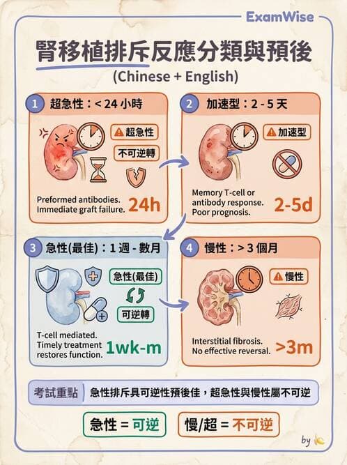 護理師 - 器官移植與AIDS - AI 圖文解析預覽
