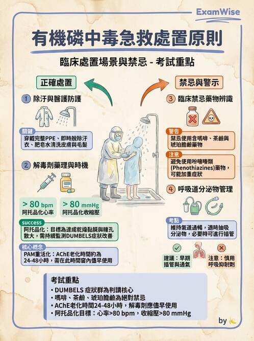 護理師 - 中毒與外傷護理 - AI 圖文解析預覽