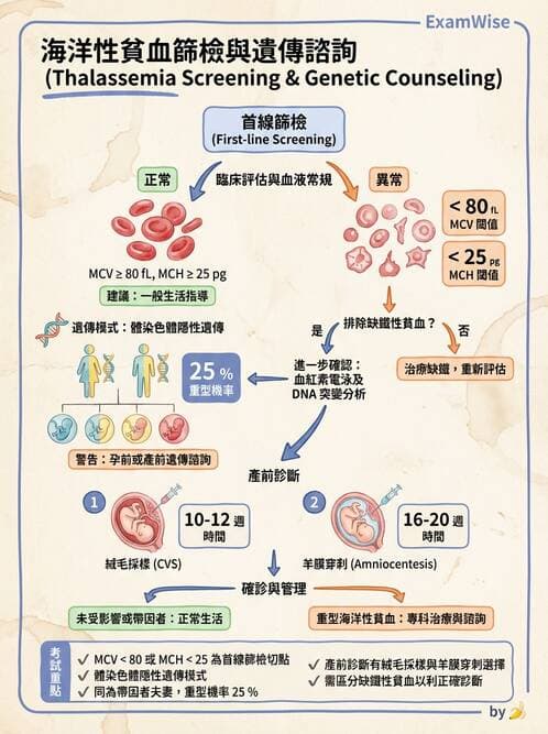 護理師 - 兒童血液與腫瘤疾病 - AI 圖文解析預覽