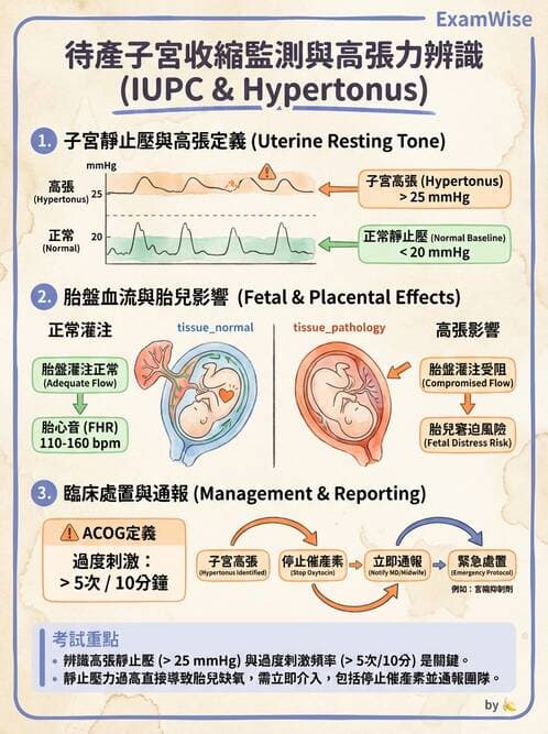 護理師 - 分娩過程與產科急症 - AI 圖文解析預覽
