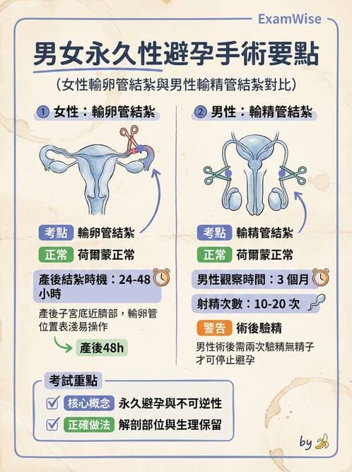 護理師 - 孕期生理變化與不適護理 - AI 圖文解析預覽