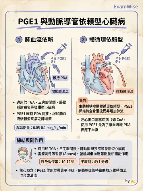 護理師 - 兒童循環系統疾病 - AI 圖文解析預覽