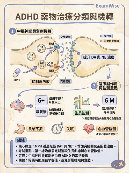 護理師 - 兒童青少年精神疾患 - AI 圖文解析預覽