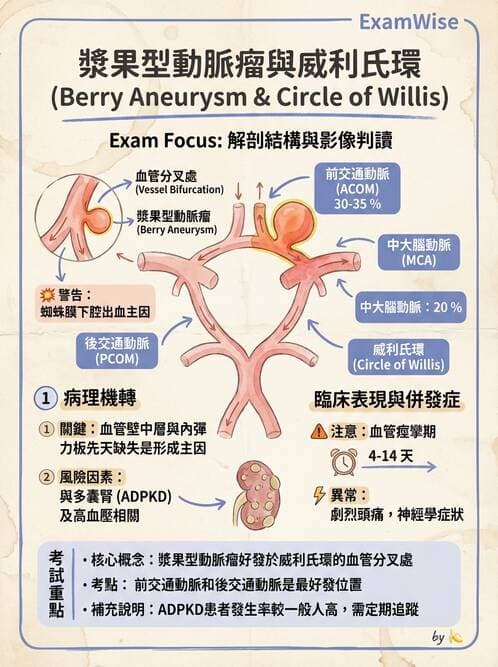 護理師 - 呼吸、循環系統 - AI 圖文解析預覽