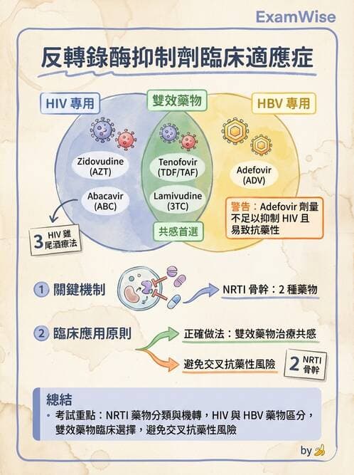 護理師 - 抗感染藥物 - AI 圖文解析預覽