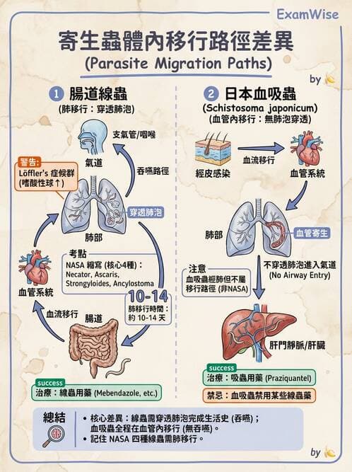 護理師 - 寄生蟲概論 - AI 圖文解析預覽