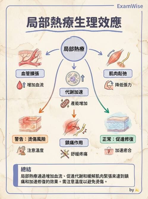 護理師 - 冷熱療法 - AI 圖文解析預覽