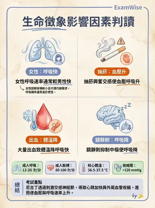 護理師 - 綜合評估與檢體採集 - AI 圖文解析預覽