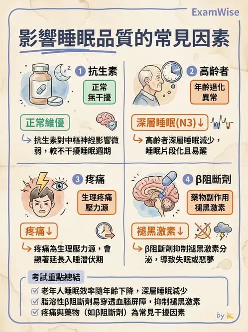 護理師 - 個人衛生與舒適照護 - AI 圖文解析預覽