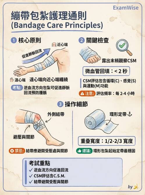 護理師 - 運動功能與傷口護理 - AI 圖文解析預覽