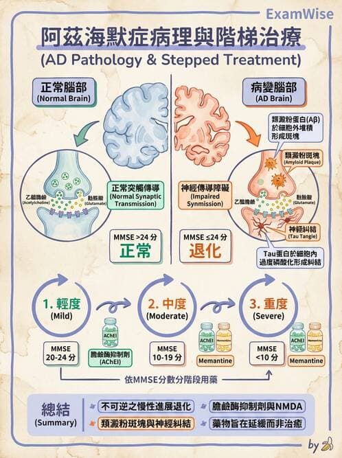 護理師 - 神經退化疾病與癲癇 - AI 圖文解析預覽