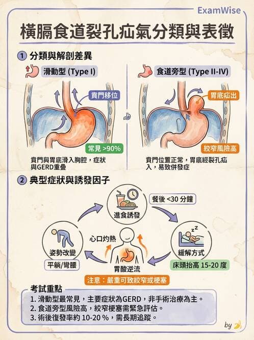 護理師 - 上消化道疾病 - AI 圖文解析預覽
