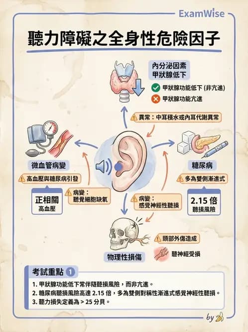 護理師 - 耳鼻喉疾病 - AI 圖文解析預覽