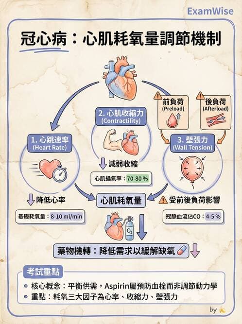 護理師 - 冠狀動脈疾病與心肌梗塞 - AI 圖文解析預覽