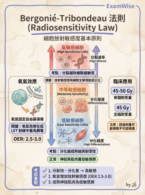 護理師 - 放療、疼痛管理與安寧護理 - AI 圖文解析預覽