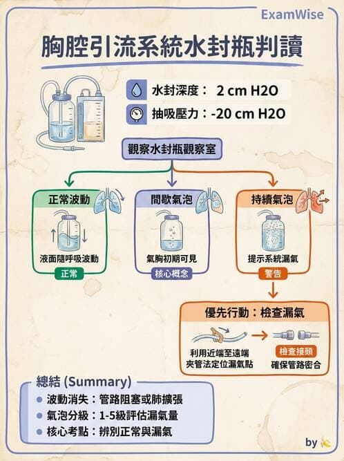 護理師 - 呼吸衰竭與胸腔護理 - AI 圖文解析預覽