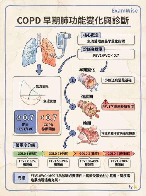 護理師 - COPD與氣喘 - AI 圖文解析預覽