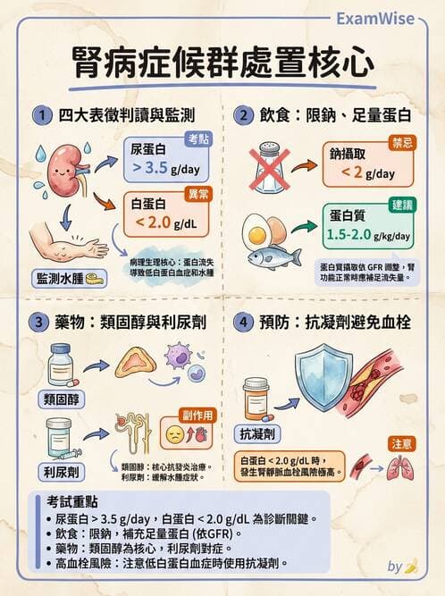 護理師 - 腎炎、腎衰竭與慢性腎臟病 - AI 圖文解析預覽
