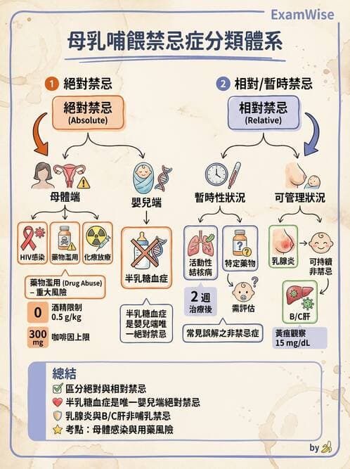 護理師 - 母乳哺餵 - AI 圖文解析預覽