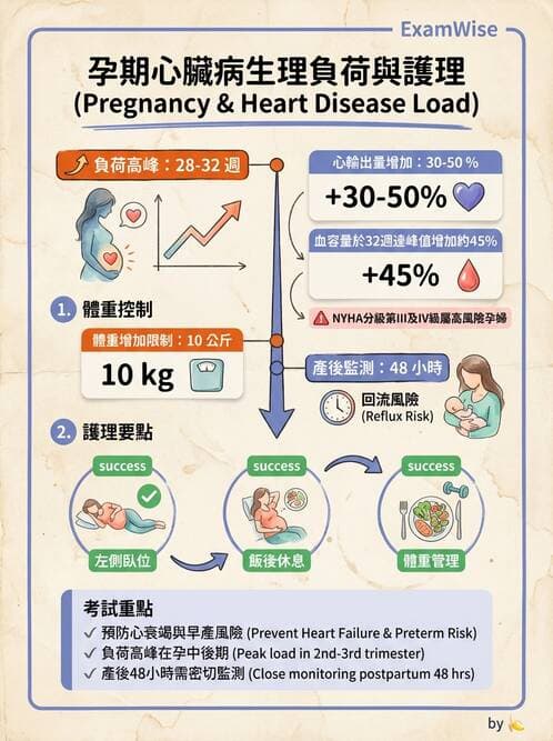 護理師 - 孕期生理變化與不適護理 - AI 圖文解析預覽