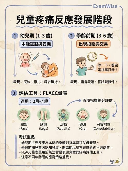 護理師 - 兒童心理社會發展與遊戲 - AI 圖文解析預覽