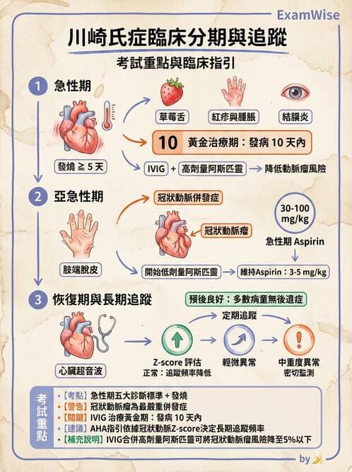 護理師 - 兒童循環系統疾病 - AI 圖文解析預覽