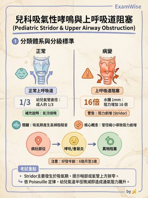 護理師 - 兒童呼吸系統疾病 - AI 圖文解析預覽