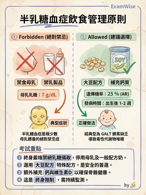 護理師 - 新生兒日常照護與篩檢 - AI 圖文解析預覽