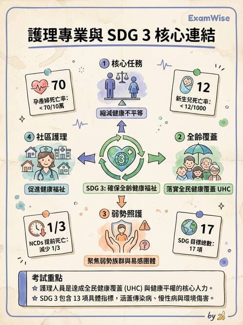 護理師 - 健康照護體系與健康政策 - AI 圖文解析預覽